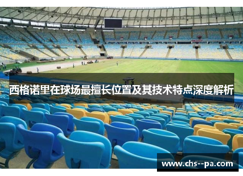 西格诺里在球场最擅长位置及其技术特点深度解析