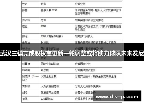 武汉三镇完成股权变更新一轮调整或将助力球队未来发展