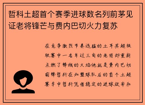 哲科土超首个赛季进球数名列前茅见证老将锋芒与费内巴切火力复苏
